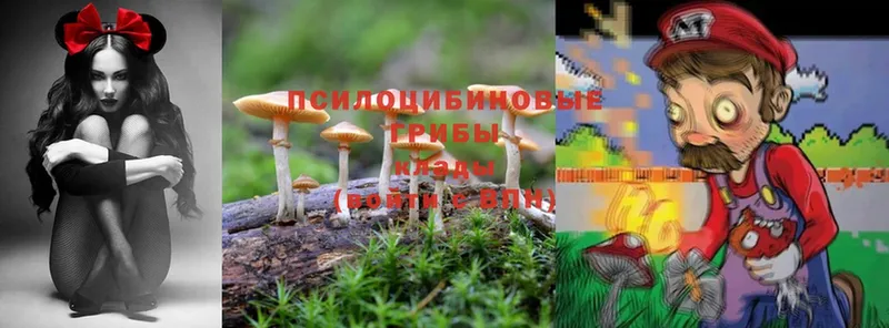 Галлюциногенные грибы MAGIC MUSHROOMS  гидра ONION  Катайск  где купить  